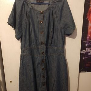 Chambray Dress